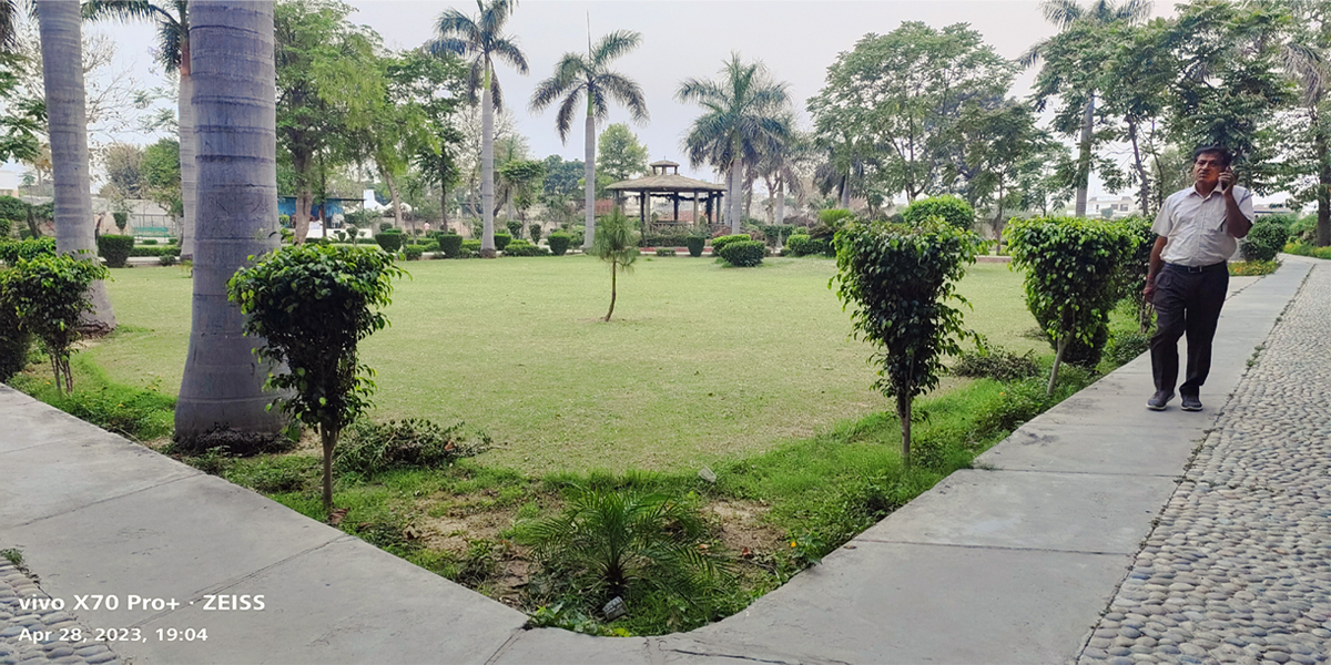 send money to charity in Punjab